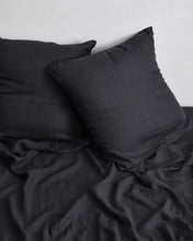 Load image into Gallery viewer, ebt-pillow-08