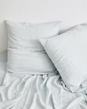 Load image into Gallery viewer, ebt-pillow-14
