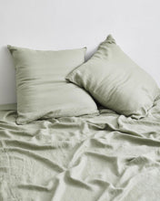 Load image into Gallery viewer, ebt-pillow-17