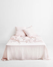 Load image into Gallery viewer, ebt-pillow-18
