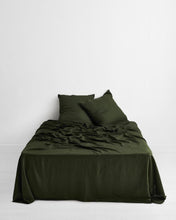 Load image into Gallery viewer, ebt-pillow-24