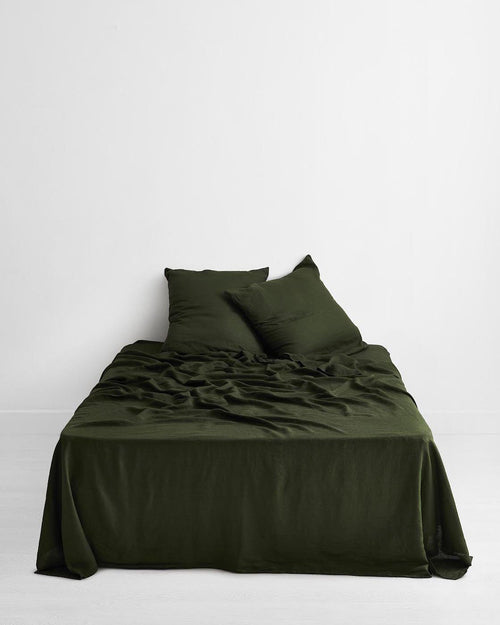 ebt-pillow-24