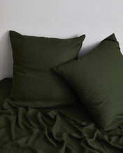 Load image into Gallery viewer, ebt-pillow-25
