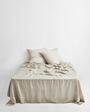 Load image into Gallery viewer, ebt-pillow-30